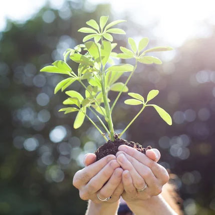 Science & Skincare: Why It’s Time To Try Plant Stem Cells